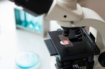 Guía Sobre la Biopsia